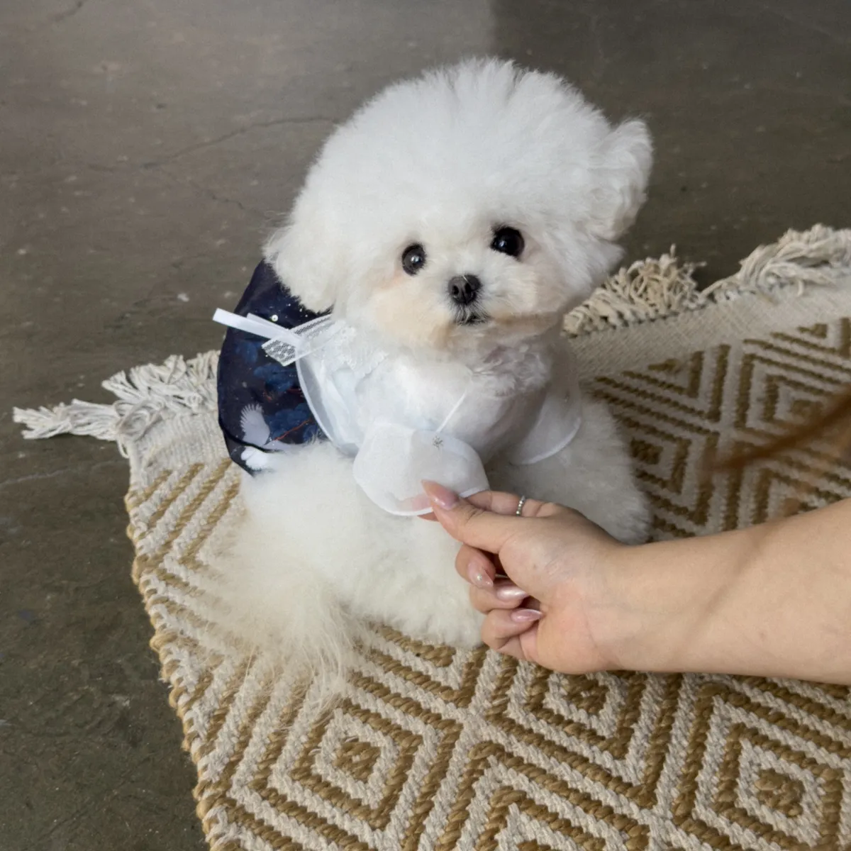 피어나데이 커버 이미지