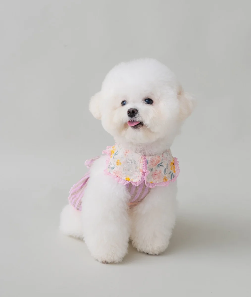 pink muller forgarden 감성 반려견 산책룩