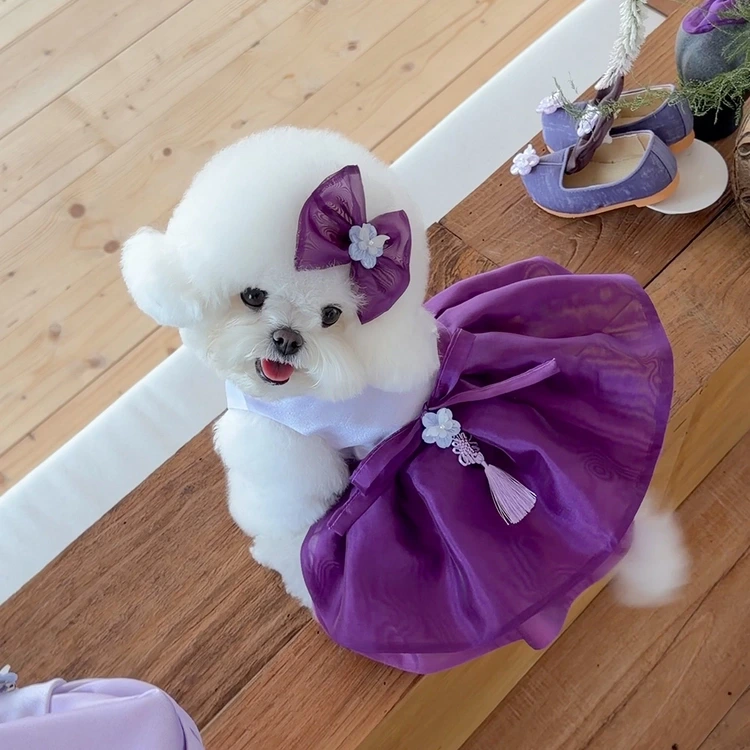 Viola 한복 드래스[ Depp Pruple] S-XXL - 9/17 순차발송